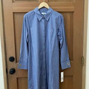 Calvin Klein Blue and White Vertical Dress